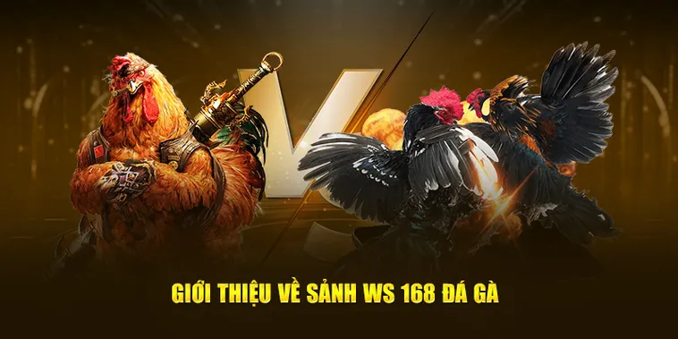 Bí Mật Chơi Đá Gà WS168 Tại 8KBet Thắng Lớn Mỗi Ngày