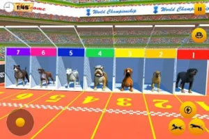 Cách Chơi Game Nhanh Đua Chó Tại 8KBet Để Tăng Cơ Hội Thắng