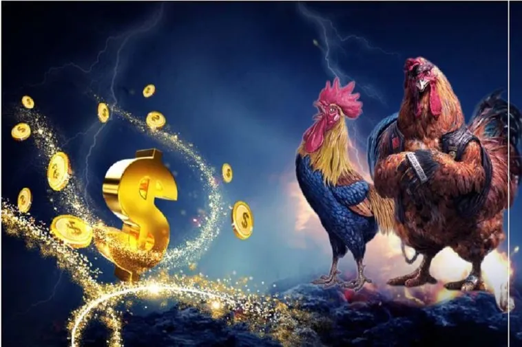 Bí Mật Chơi Đá Gà WS168 Tại 8KBet Thắng Lớn Mỗi Ngày
